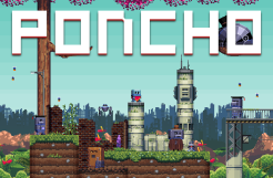 Poncho Review