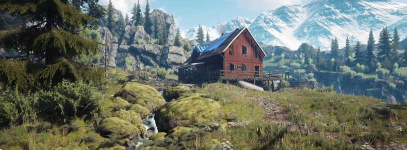 The comparison of what Vigor looks like on Nintendo Switch and Xbox One