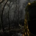 Digested: A Terrifying Escape from a Giant Snake in a Procedural Nightmare