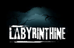 Labyrinthine Console Edition